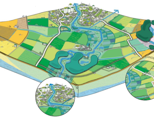 Procesmanagement beeklandschap Warmbeek/Tongelreep