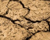 Duurzaamheid - AXXIA - Column - De gevolgen van droogte