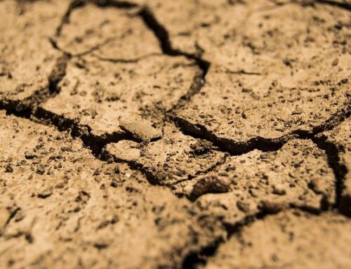 Droogte in Nederland: We leven op te grote voet